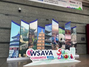 WSAVA 世界会議2024｜動物往診＋在宅ケアサービス　にくきゅう