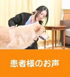 患者様のお声｜動物往診＋在宅ケアサービス　にくきゅう
